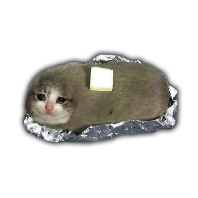 CryingButterCatCoin